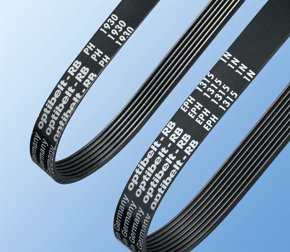 Bilde for kategori Ribbebånd